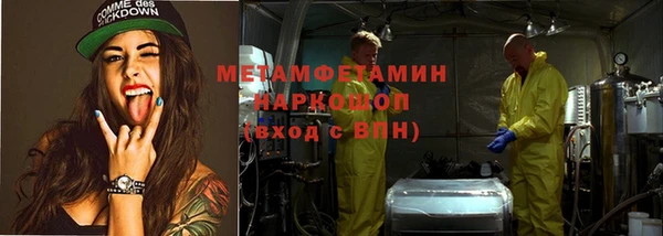 индика Шадринск