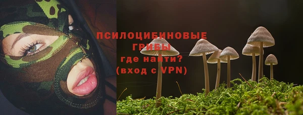 MDMA Кодинск