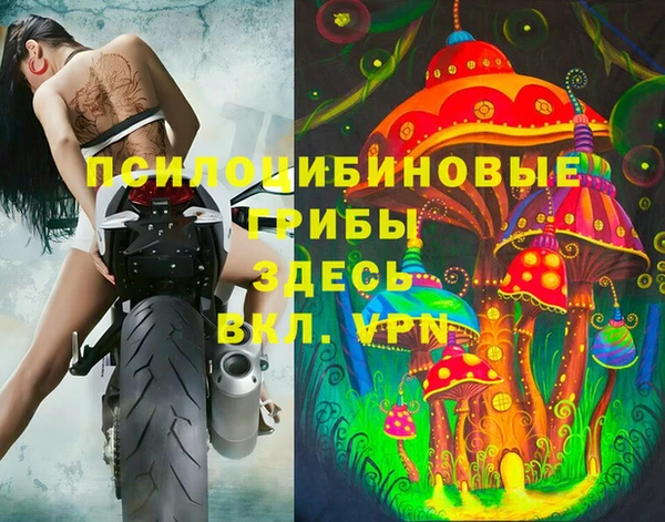 твердый Шали