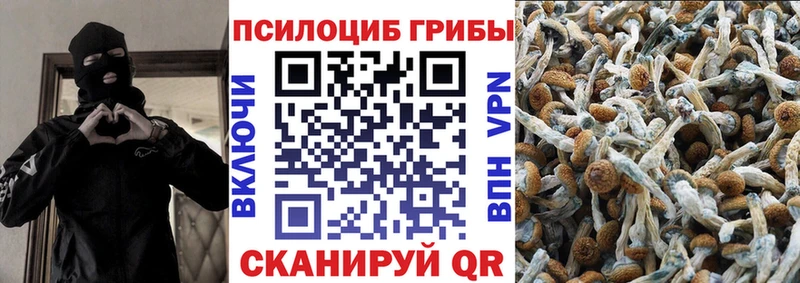 Псилоцибиновые грибы Magic Shrooms  цены наркотик  Пучеж 